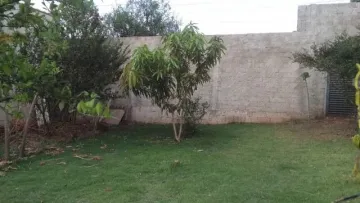 Terreno / Padrão em Jardinópolis Alugar por R$0,00