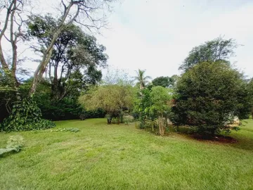 Alugar Casa / Chácara - Rancho em Ribeirão Preto R$ 1.500,00 - Foto 31