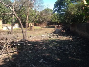 Alugar Terreno / Padrão em Ribeirão Preto R$ 1.800,00 - Foto 7