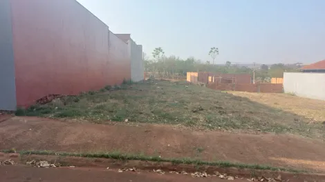 Comprar Terreno / Padrão em Sertãozinho R$ 149.000,00 - Foto 5