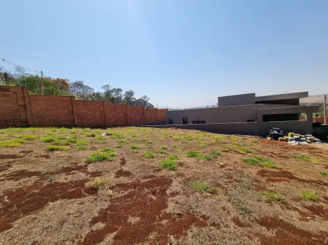 Comprar Terreno / Condomínio em Bonfim Paulista R$ 300.000,00 - Foto 4