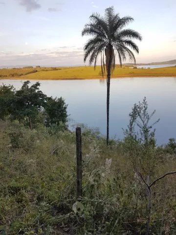 Comprar Terreno / Padrão em Delfinópolis R$ 350.000,00 - Foto 3