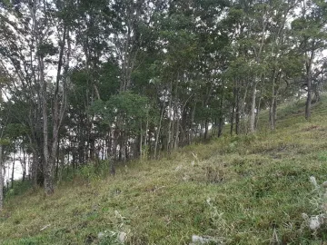 Comprar Terreno / Padrão em Delfinópolis R$ 500.000,00 - Foto 3