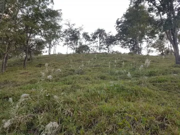 Comprar Terreno / Padrão em Delfinópolis R$ 500.000,00 - Foto 7