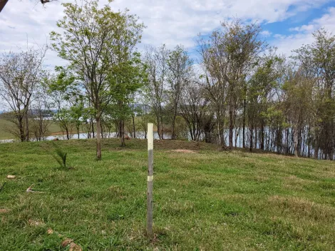 Comprar Terreno / Padrão em Delfinópolis R$ 500.000,00 - Foto 6