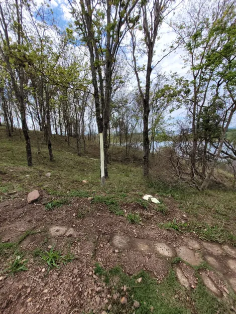 Comprar Terreno / Padrão em Delfinópolis R$ 500.000,00 - Foto 7