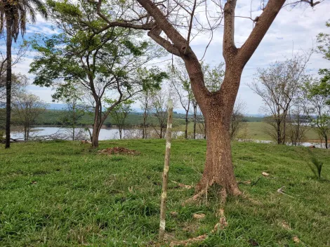 Comprar Terreno / Padrão em Delfinópolis R$ 500.000,00 - Foto 8