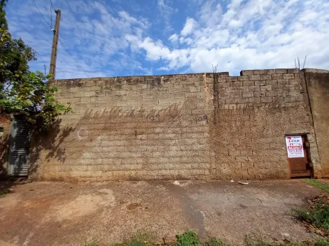 Terreno / Padrão em Ribeirão Preto 