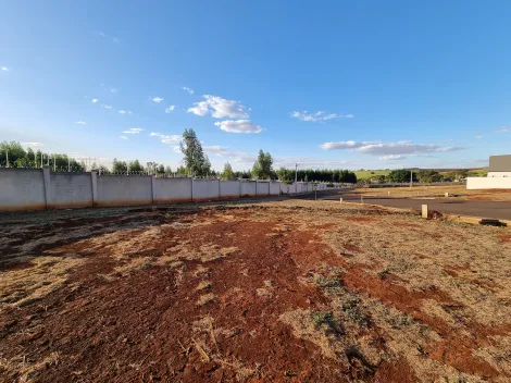 Comprar Terreno / Condomínio em Ribeirão Preto R$ 265.000,00 - Foto 11