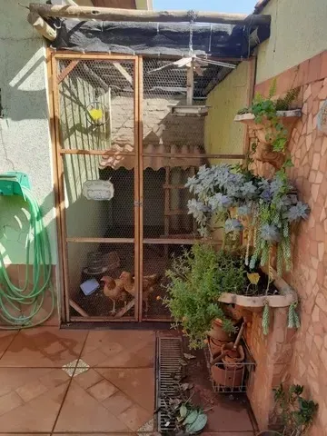 Comprar Casa / Padrão em Ribeirão Preto R$ 615.000,00 - Foto 15