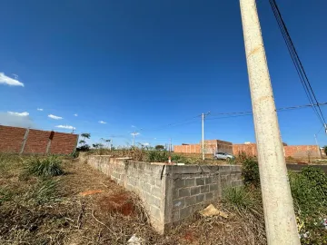 Comprar Terreno / Padrão em Sertãozinho R$ 170.000,00 - Foto 5