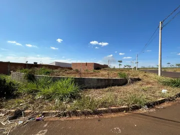 Comprar Terreno / Padrão em Sertãozinho R$ 170.000,00 - Foto 2