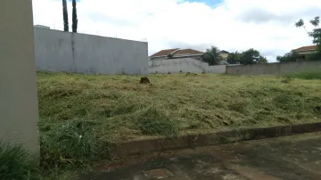 Alugar Terreno / Padrão em Ribeirão Preto R$ 2.000,00 - Foto 3