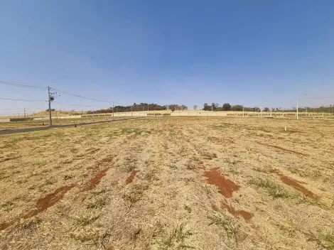 Comprar Terreno / Condomínio em Ribeirão Preto R$ 420.000,00 - Foto 8