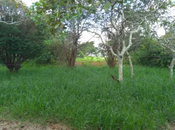 Comprar Casa / Chácara - Rancho em Patrocínio Paulista R$ 700.000,00 - Foto 3