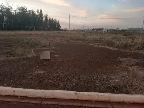 Terreno / Padrão em Sertãozinho 