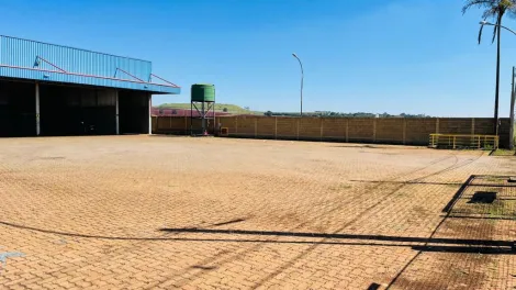 Comercial padrão / Galpão - Armazém em Ribeirão Preto Alugar por R$28.000,00