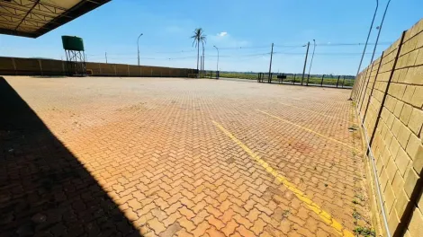 Alugar Comercial padrão / Galpão - Armazém em Ribeirão Preto R$ 28.000,00 - Foto 2