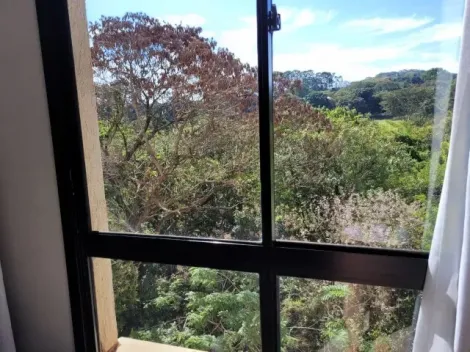 Comprar Apartamento / Padrão em Ribeirão Preto R$ 260.000,00 - Foto 3