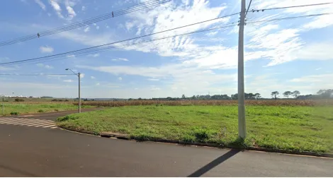 Terreno / Padrão em Ribeirão Preto Alugar por R$0,00