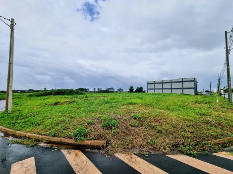 Terreno / Comercial em Ribeirão Preto 