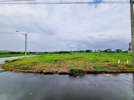 Comprar Terreno / Comercial em Ribeirão Preto R$ 345.000,00 - Foto 2