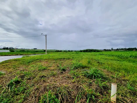 Comprar Terreno / Comercial em Ribeirão Preto R$ 345.000,00 - Foto 3