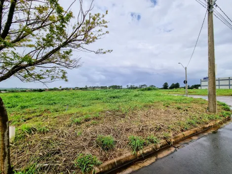 Comprar Terreno / Comercial em Ribeirão Preto R$ 345.000,00 - Foto 6