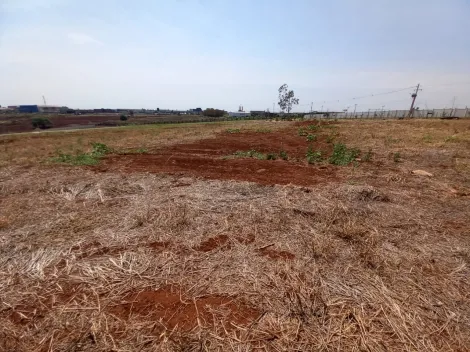 Comprar Terreno / Condomínio em Cravinhos R$ 361.000,00 - Foto 2