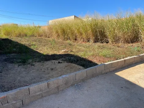 Alugar Terreno / Padrão em Ribeirão Preto R$ 1.500,00 - Foto 3