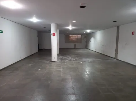 Alugar Comercial padrão / Galpão - Armazém em Ribeirão Preto R$ 2.800,00 - Foto 3