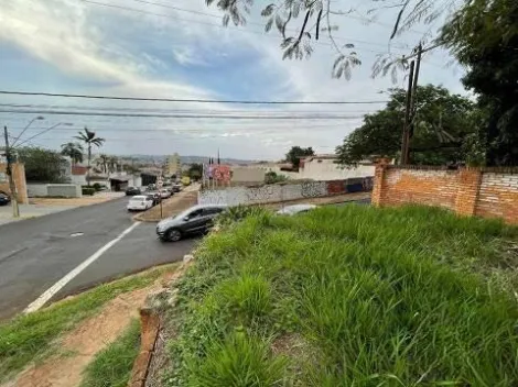 Comprar Casas / Padrão em Ribeirão Preto R$ 1.500.000,00 - Foto 5