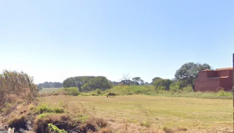 Terreno / Padrão em Ribeirão Preto Alugar por R$0,00