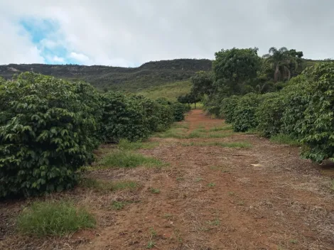 Comprar Rural / Fazenda em Capitólio R$ 2.000.000,00 - Foto 5