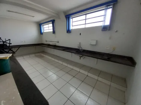 Alugar Comercial padrão / Casa comercial em Ribeirão Preto R$ 3.300,00 - Foto 10