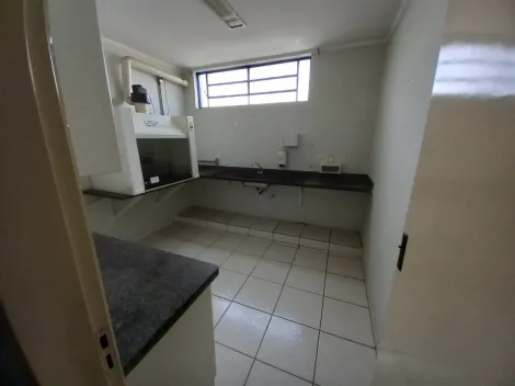 Alugar Comercial padrão / Casa comercial em Ribeirão Preto R$ 3.300,00 - Foto 15