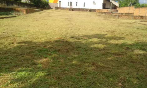 Alugar Comercial padrão / Galpão - Armazém em Ribeirão Preto R$ 30.000,00 - Foto 13