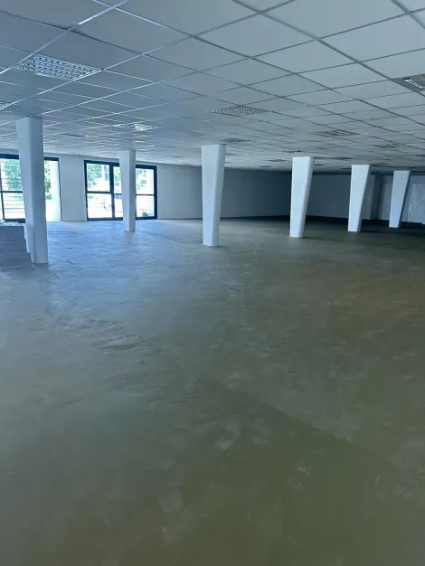 Alugar Comercial padrão / Casa comercial em Ribeirão Preto R$ 59.000,00 - Foto 4