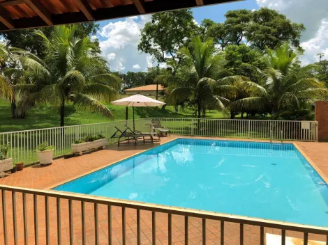 Comprar Casa / Chácara - Rancho em Ribeirão Preto R$ 1.500.000,00 - Foto 13