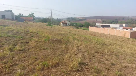 Comprar Terreno / Padrão em Sertãozinho R$ 120.000,00 - Foto 5