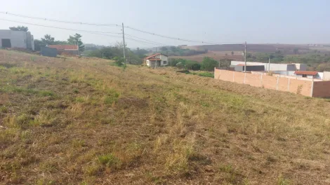 Comprar Terreno / Padrão em Sertãozinho R$ 120.000,00 - Foto 6