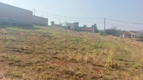 Comprar Terreno / Padrão em Sertãozinho R$ 120.000,00 - Foto 10