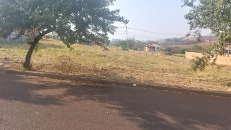 Comprar Terreno / Padrão em Sertãozinho R$ 120.000,00 - Foto 3