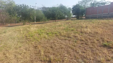 Comprar Terreno / Padrão em Sertãozinho R$ 120.000,00 - Foto 11