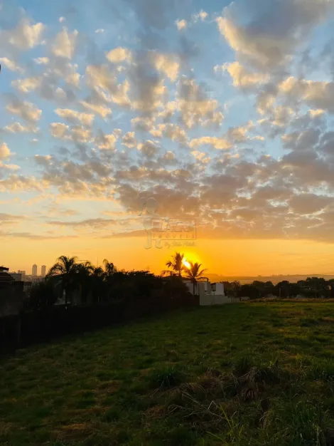 Alugar Apartamento / Padrão em Ribeirão Preto R$ 2.900,00 - Foto 21