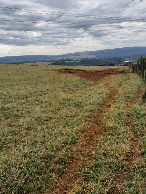 Comprar Terreno / Área em São Carlos R$ 5.500.000,00 - Foto 4