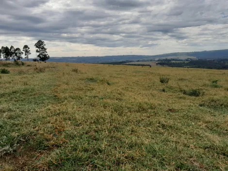 Comprar Terreno / Área em São Carlos R$ 5.500.000,00 - Foto 5