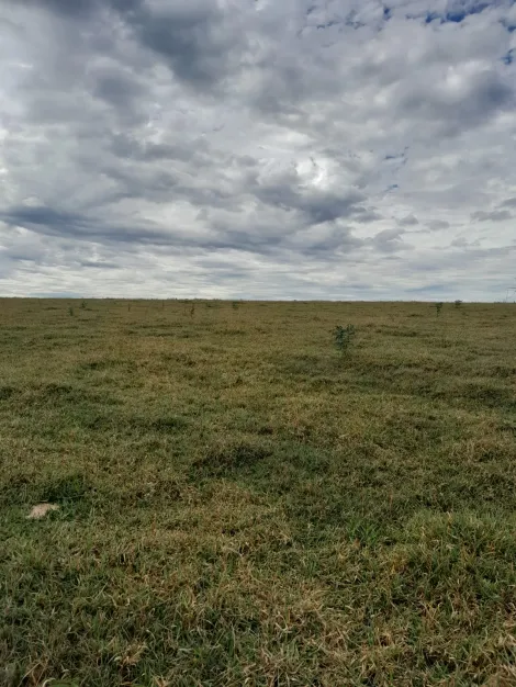 Comprar Terreno / Área em São Carlos R$ 5.500.000,00 - Foto 7