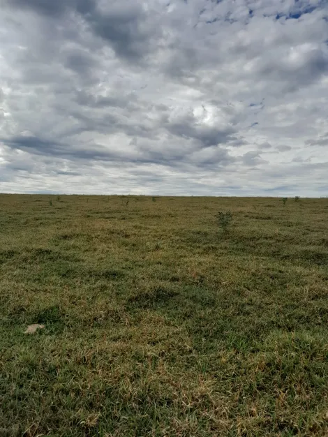 Comprar Terreno / Área em São Carlos R$ 5.500.000,00 - Foto 3