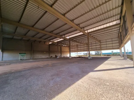 Alugar Comercial padrão / Galpão - Armazém em Ribeirão Preto R$ 28.800,00 - Foto 10